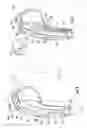Fig. 04 - Athletic Arm Warmer