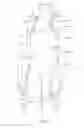 Fig. 02 - HALTER BIB ATHLETIC GARMENT