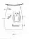 Fig. 09 - Protective Draping System