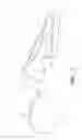 Fig. 06 - ORTHOTIC DEVICES
