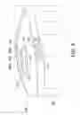 Fig. 09 - Lighting devices for purses and bags