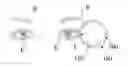 Fig. 01 - MAKEUP STENCILS AND KITS