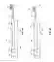 Fig. 04 - Dispensing Toothbrush