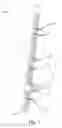 Fig. 02 - Apparatus for holding and organizing articles