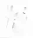 Fig. 04 - Chopsticks