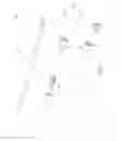 Fig. 09 - Chopsticks