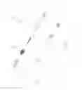 Fig. 12 - Chopsticks