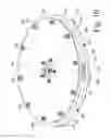 Fig. 14 - Rotary surface cleaning tool