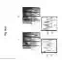 Fig. 09 - Deep optical imaging of tissue with less scattering in the second, third and fourth NIR spectral windows using supercontinuum and other laser coherent light sources