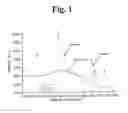 Fig. 02 - RAMAN AND RESONANT RAMAN DETECTION OF VULNERABLE PLAQUE OPTICAL ANALYZER AND IMAGER