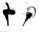 Fig. 01 - EARPHONES WITH BIOMETRIC SENSORS