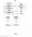 Fig. 07 - Assessing intra-cardiac activation patterns and electrical dyssynchrony