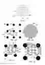 Fig. 06 - An Apparatus and Method for 
