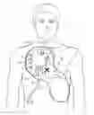 Fig. 01 - Integrated Resuscitation