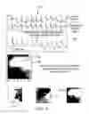 Fig. 08 - System and method for reconstructing cardiac activation information