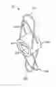Fig. 01 - Percutaneous atrial and ventricular septal defect closure device