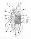 Fig. 05 - Implantable layers for a surgical instrument