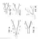 Fig. 07 - Minimally invasive surgical assembly and methods