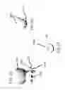 Fig. 05 - Self in-fusing pedicle screw implant