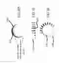 Fig. 07 - Self in-fusing pedicle screw implant