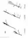 Fig. 10 - Self in-fusing pedicle screw implant
