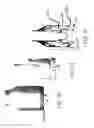 Fig. 12 - Self in-fusing pedicle screw implant