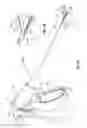 Fig. 06 - Dissection scissors on surgical device