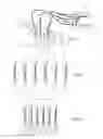 Fig. 20 - MULTIPLE ELECTRODE GENERATOR