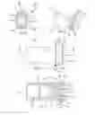 Fig. 05 - FORCE EXERTING ASSEMBLY FOR ORAL IRRIGATING DEVICE