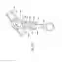 Fig. 11 - FORCE EXERTING ASSEMBLY FOR ORAL IRRIGATING DEVICE