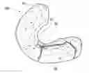 Fig. 01 - Correction device