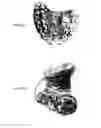 Fig. 13 - Correction device