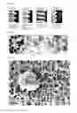 Fig. 02 - SURFACE-MODIFIED HYBRID SURFACE IMPLANT AND METHOD FOR  MANUFACTURING THE SAME