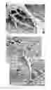 Fig. 03 - SURFACE-MODIFIED HYBRID SURFACE IMPLANT AND METHOD FOR  MANUFACTURING THE SAME