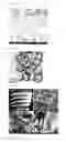 Fig. 05 - SURFACE-MODIFIED HYBRID SURFACE IMPLANT AND METHOD FOR  MANUFACTURING THE SAME