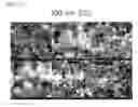 Fig. 07 - SURFACE-MODIFIED HYBRID SURFACE IMPLANT AND METHOD FOR  MANUFACTURING THE SAME