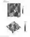 Fig. 11 - Textured surfaces for breast implants