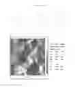 Fig. 12 - Textured surfaces for breast implants
