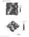 Fig. 13 - Textured surfaces for breast implants