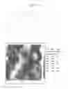 Fig. 14 - Textured surfaces for breast implants