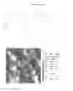 Fig. 16 - Textured surfaces for breast implants