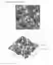 Fig. 19 - Textured surfaces for breast implants