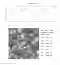 Fig. 20 - Textured surfaces for breast implants