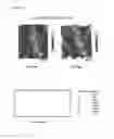 Fig. 42 - Textured surfaces for breast implants