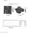 Fig. 61 - Textured surfaces for breast implants