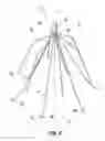 Fig. 06 - Embolus blood clot filter with bio-resorbable coated filter members