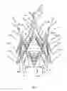 Fig. 05 - Endoprosthesis for implantation in the heart of a patient