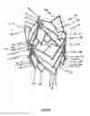 Fig. 40 - Endoprosthesis for implantation in the heart of a patient