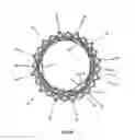 Fig. 48 - Endoprosthesis for implantation in the heart of a patient
