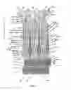 Fig. 58 - Endoprosthesis for implantation in the heart of a patient